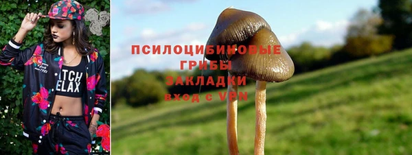 тгк Баксан